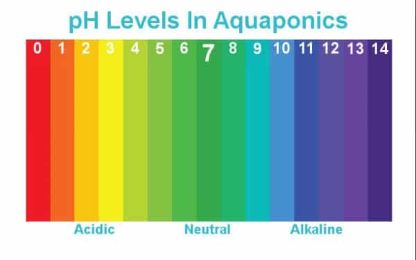 pH Levels In Aquaponics - Aquaponics Exposed